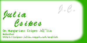 julia csipes business card